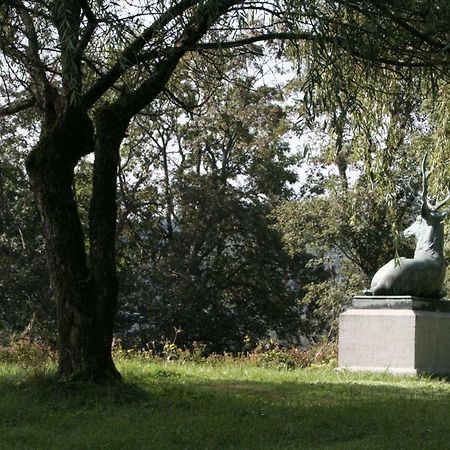 Appartamento Schloss Wittgenstein Bad Laasphe Esterno foto
