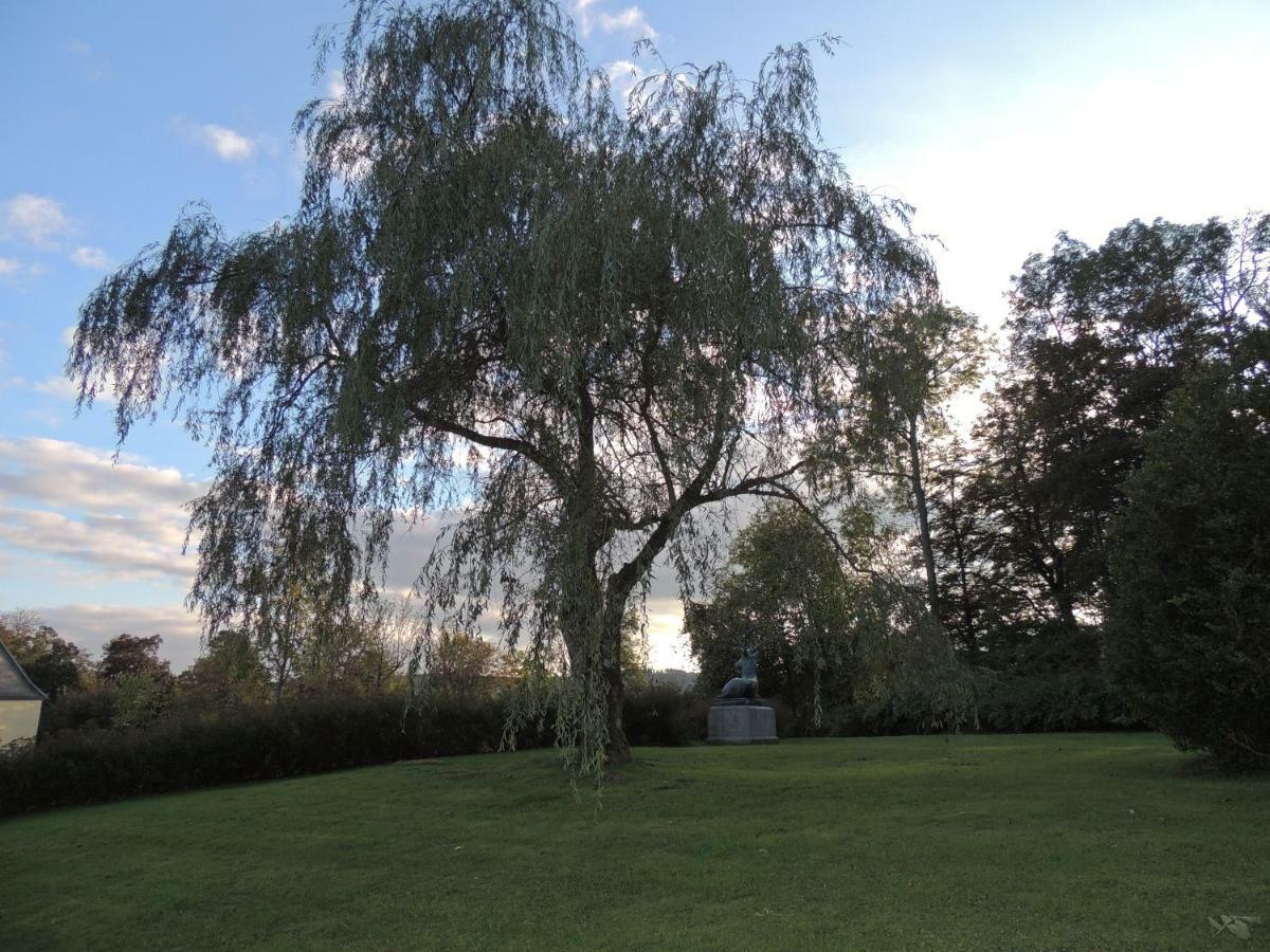 Appartamento Schloss Wittgenstein Bad Laasphe Esterno foto